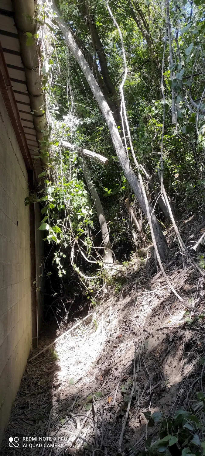 image-before