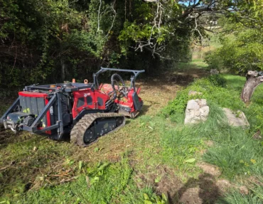 FPV-alpes-elagage-sisiteron-chantier (12) FPV-alpes-elagage-sisiteron-chantier (12)