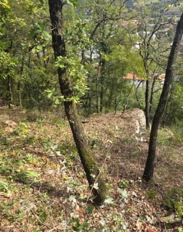 FPV-alpes-elagage-sisiteron-chantier (14) FPV-alpes-elagage-sisiteron-chantier (14)