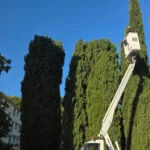Entretien des espaces verts à Sisteron