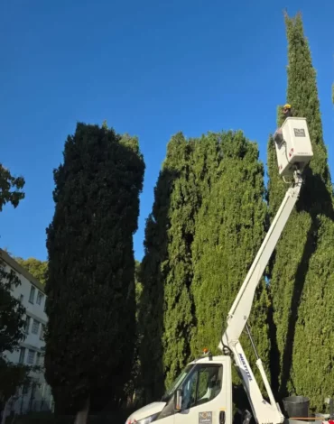 FPV-alpes-elagage-sisiteron-chantier FPV-alpes-elagage-sisiteron-chantier